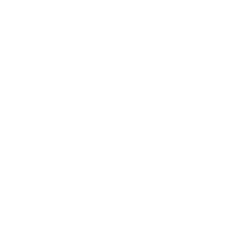 Robostellar Icon Logo White